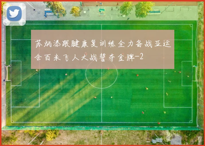 苏炳添跟腱康复训练全力备战亚运会百米飞人大战誓夺金牌
